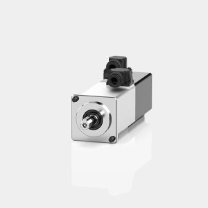 motor servo x2