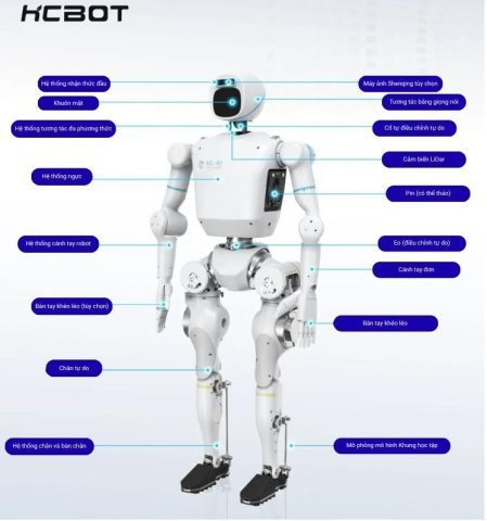 HCFA KẾT HỢP VỚI ĐẠI HỌC CÔNG NGHỆ CHIẾT GIANG VÀ SHANGHAI HUMANOID RA MẮT ROBOT QINGLONG LITE 
